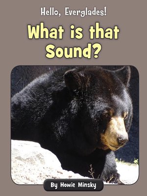 cover image of What is that Sound?